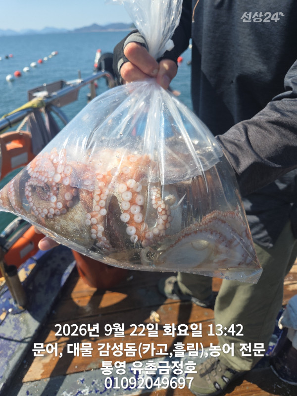 1000061050.jpg