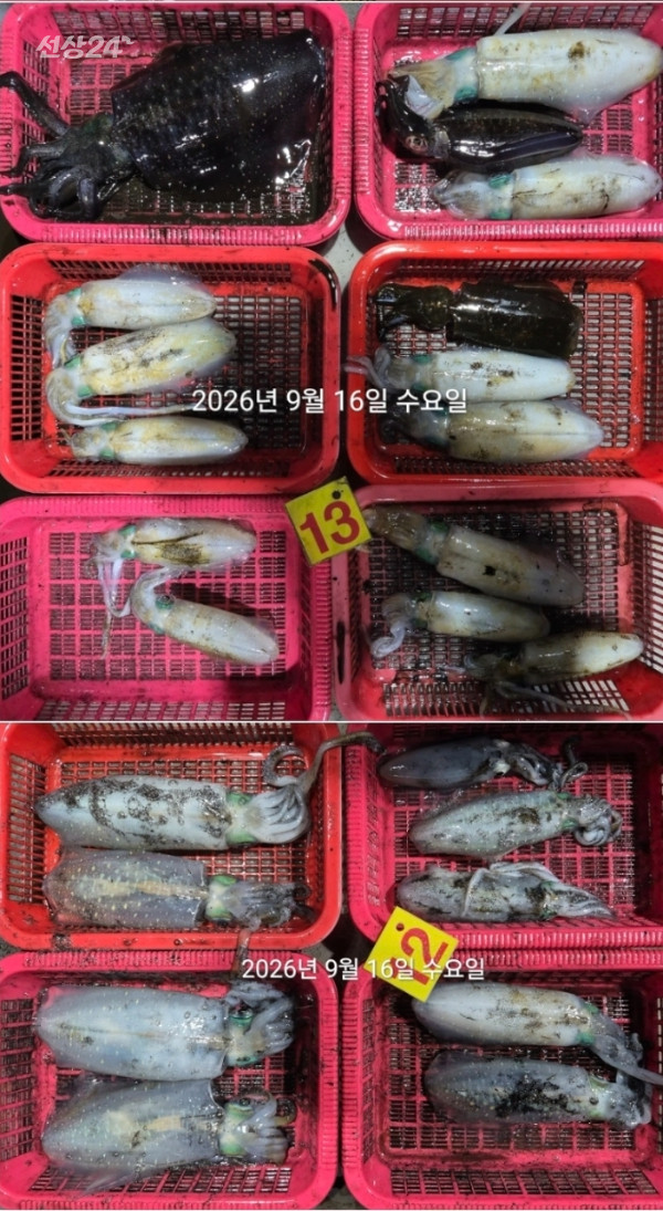 86945.jpg