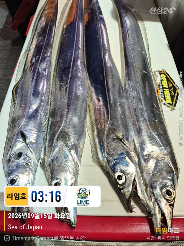 KakaoTalk_20260915_093234679_25.jpg