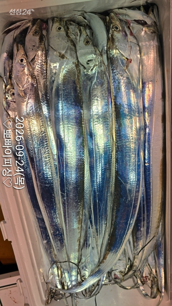 1000117533.jpg