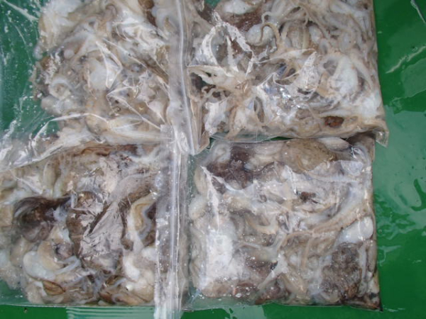 103.JPG