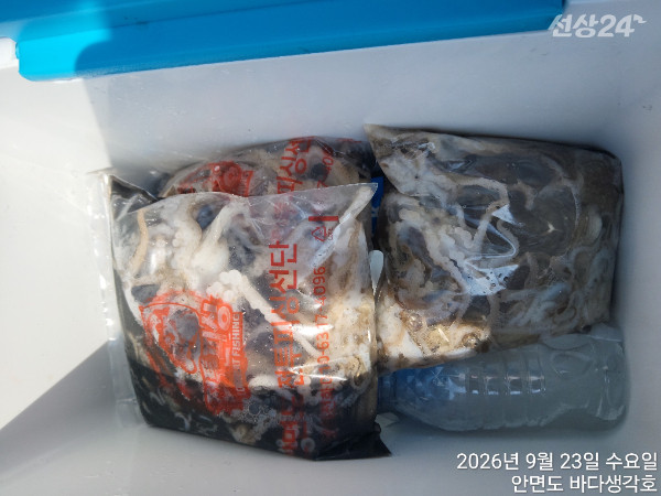 KakaoTalk_20260923_190528616_03 (1).jpg