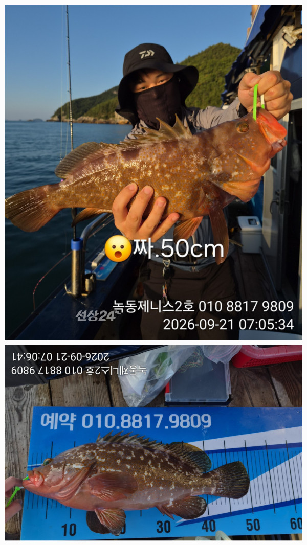 49884.jpg