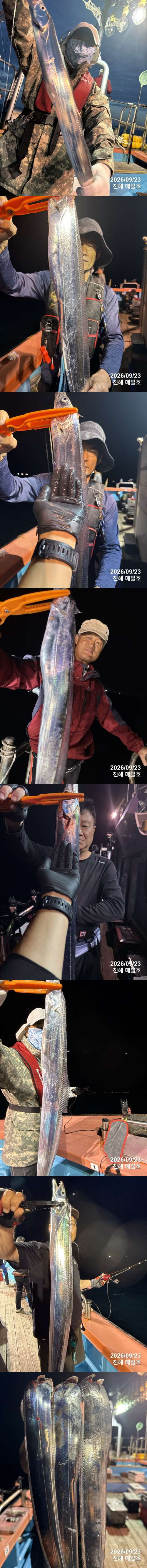갈치1.jpg