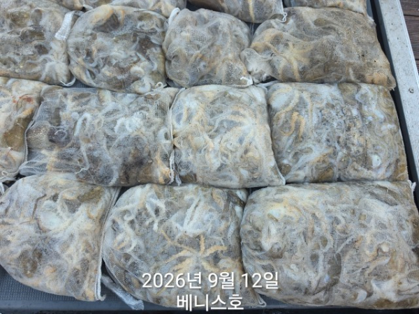 KakaoTalk_20260912_163040002_01.jpg