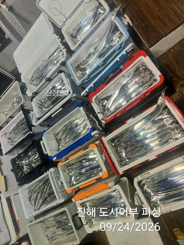 KakaoTalk_20260924_050456578_10.jpg