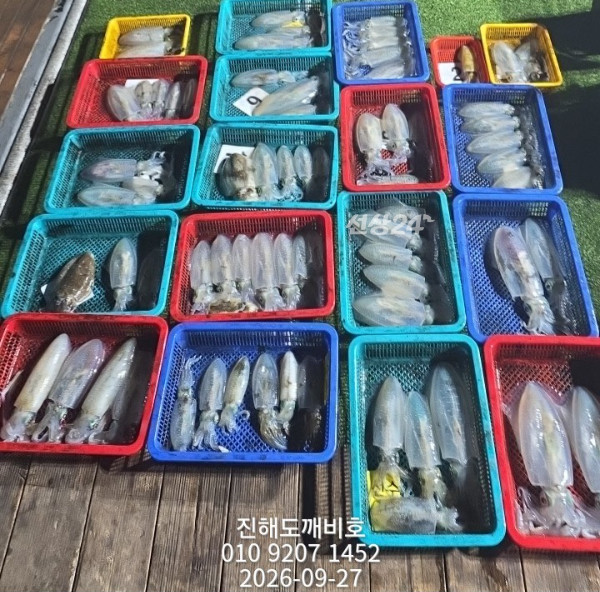 8634.jpg