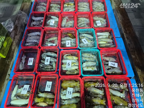 44214.jpg
