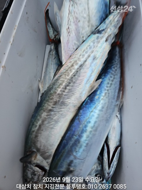 20260923_181051.jpg