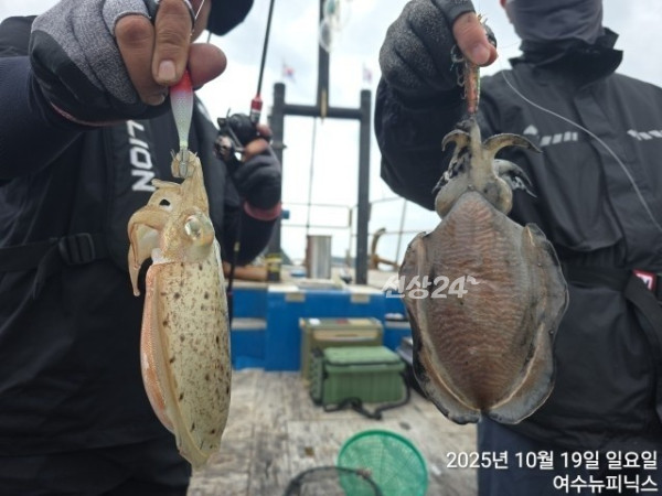 KakaoTalk_20260827_163939255_02.jpg