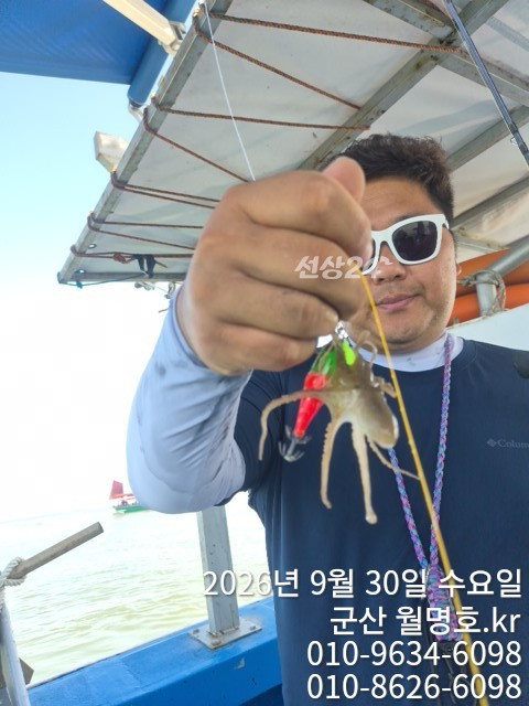 17784.jpg