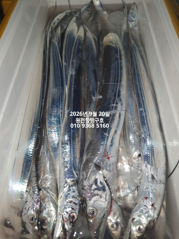 KakaoTalk_20260920_043734565_06.jpg