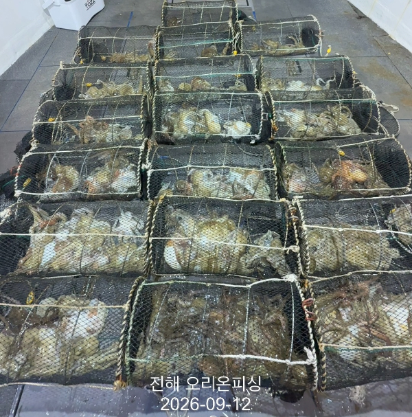 KakaoTalk_20260913_072022007_13.jpg
