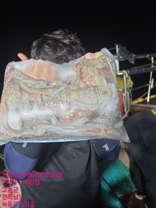 BandPhoto_2026_09_09_17_12_21_2.jpg