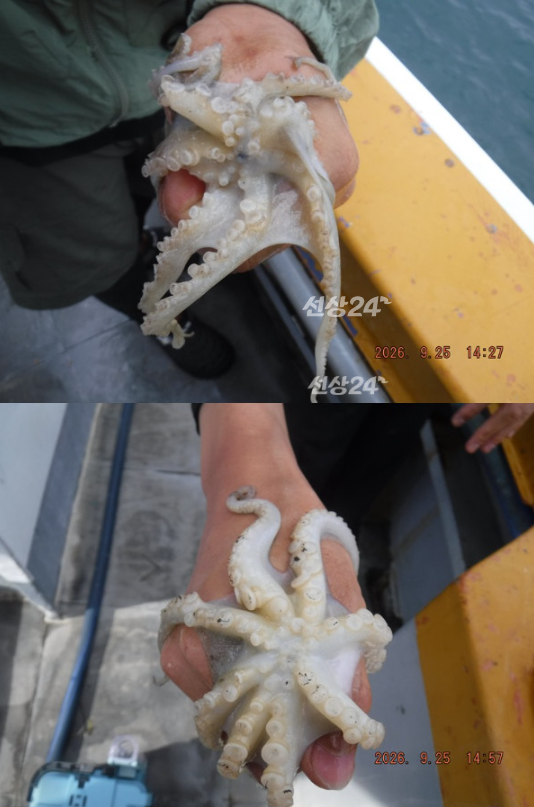 스크린샷 2026-09-26 105834.png