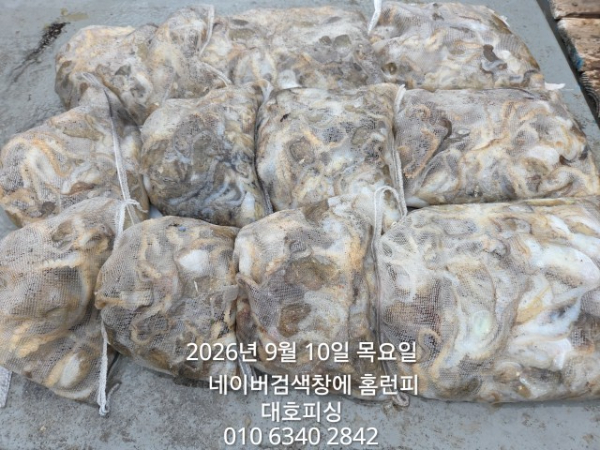 1000018105.jpg