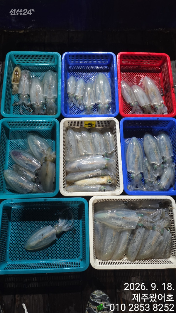 제주왔어호_사진_20260918_2.jpg