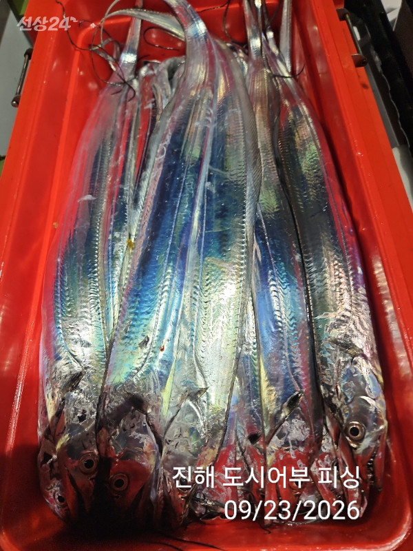 KakaoTalk_20260923_062051575_15.jpg