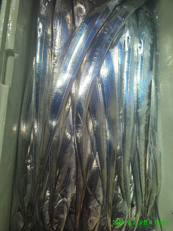 1-8.jpeg