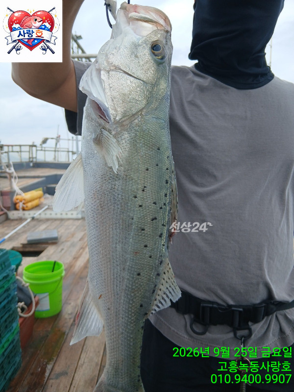 4800.jpg