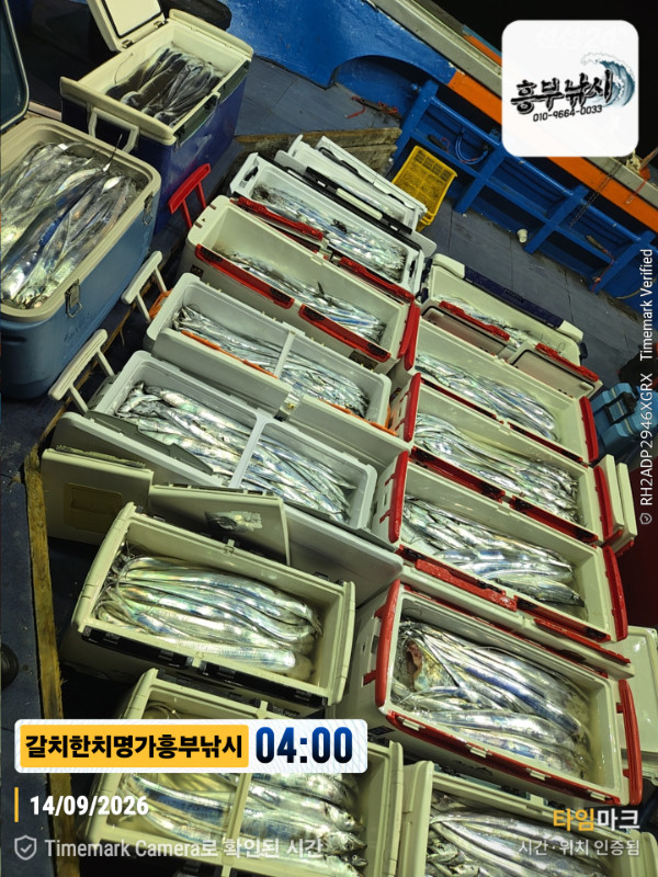 2026-09-14 04.00.13__(제목-갈치한치명가흥부낚시).jpg