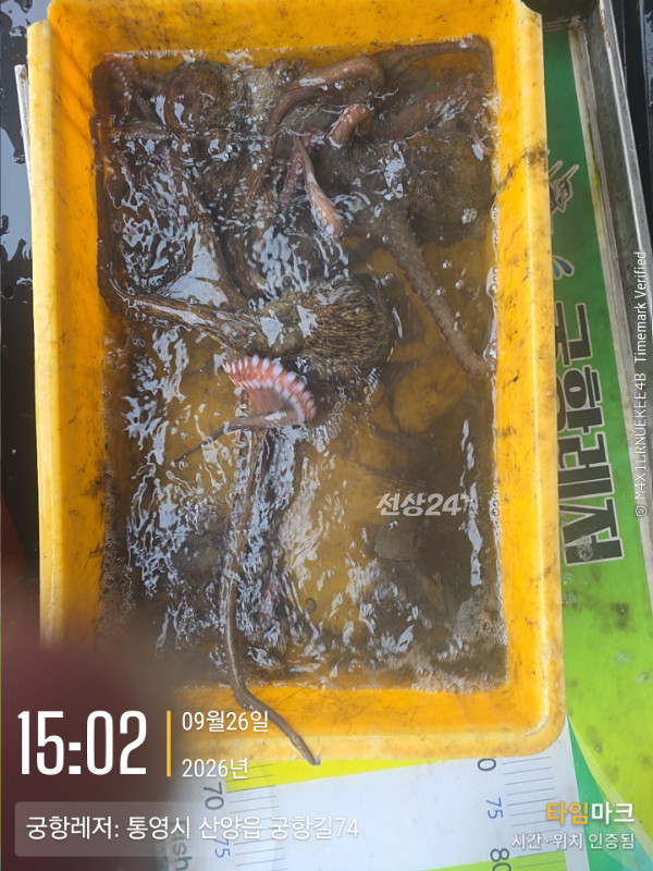 1790418127580.jpg