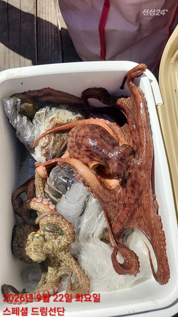 쎄븐피싱클럽(선상 버스출조전문)_사진_20260922_6.jpg