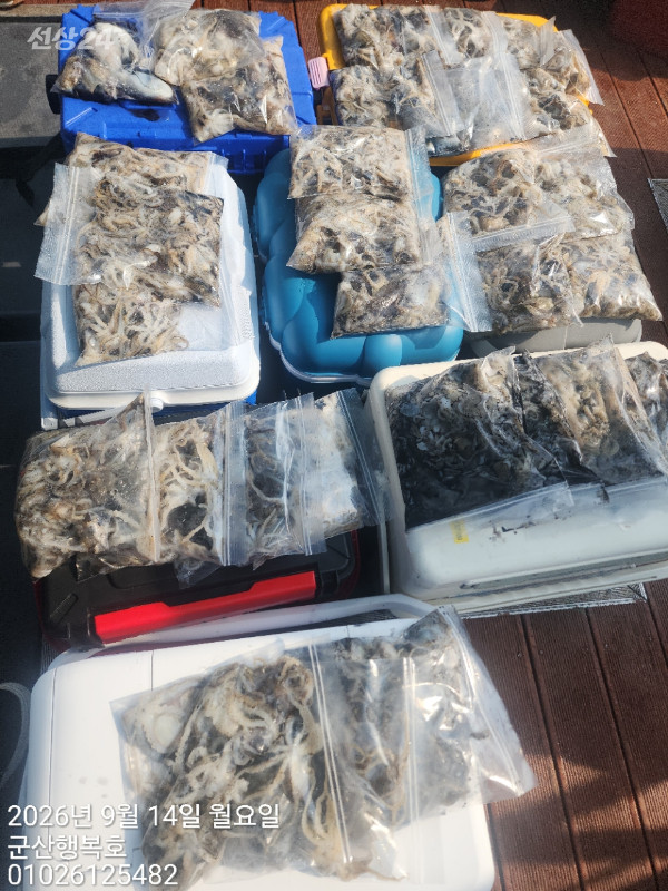 군산행복호_사진_20260914_4.jpg