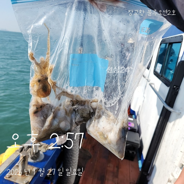 1000018150.jpg