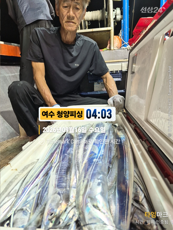 2026-09-16 04.03.48__(제목-여수 청양피싱).jpg