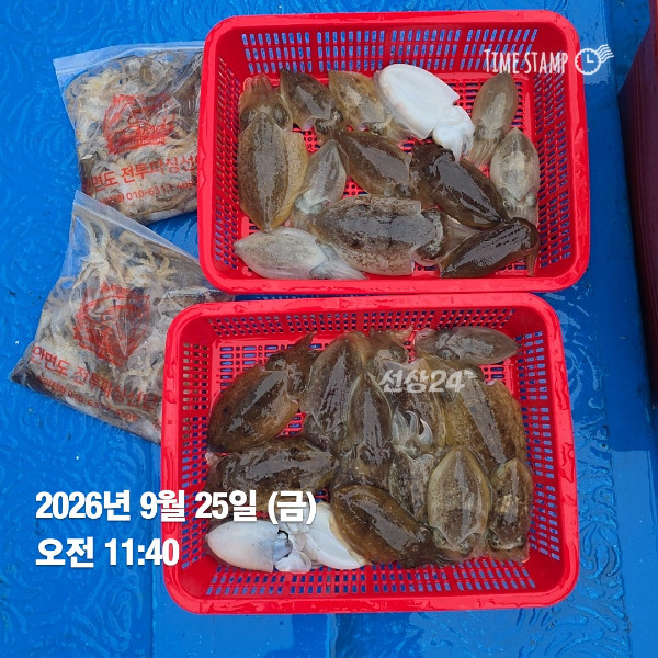 KakaoTalk_20260925_210425992_02.jpg
