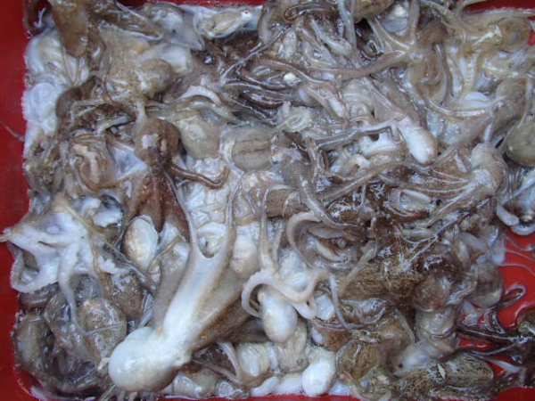 115.JPG