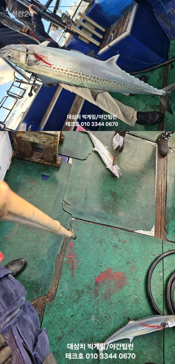 KakaoTalk_20260923_081932438_17-vert.jpg