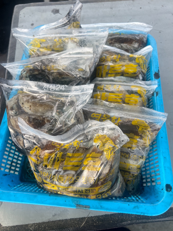 KakaoTalk_20260927_184701866_07.jpg