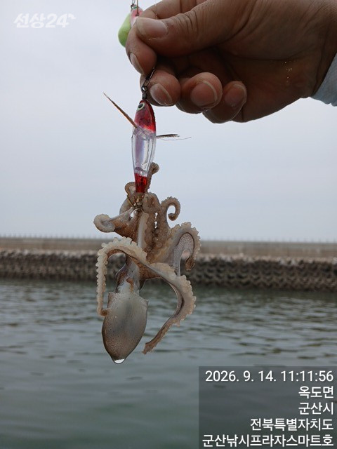 KakaoTalk_20260914_112034769_07.jpg