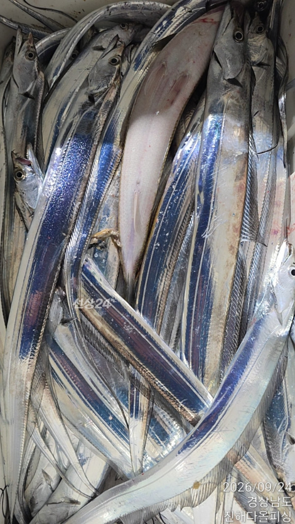 1000047845.jpg
