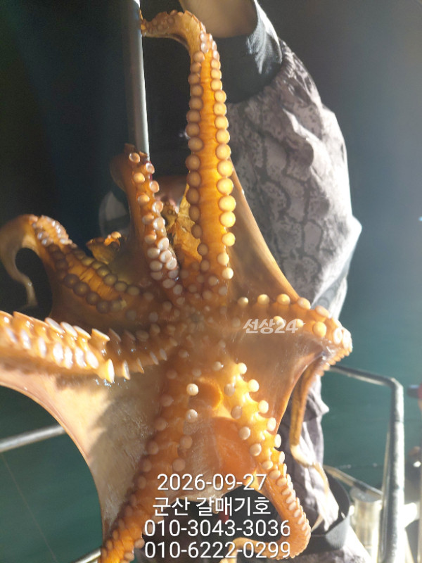 10192.jpg