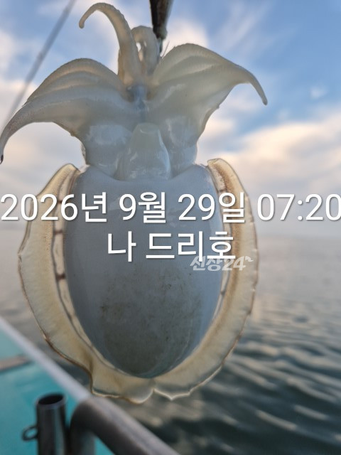 KakaoTalk_20260929_073419152_07.jpg