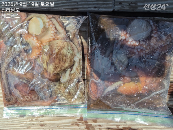 레드폭스피싱_사진_20260919_39.jpg