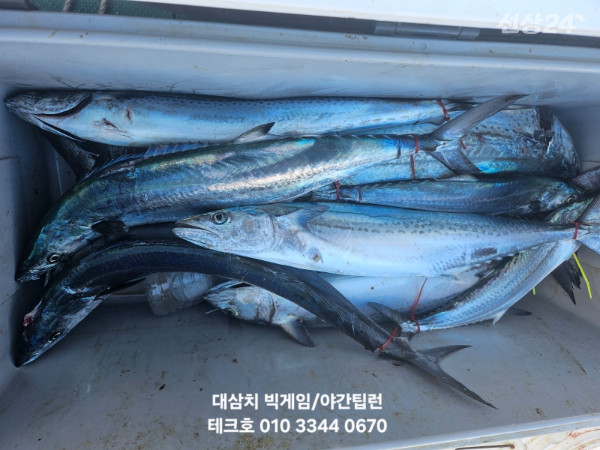 KakaoTalk_20260923_081932438_02.jpg