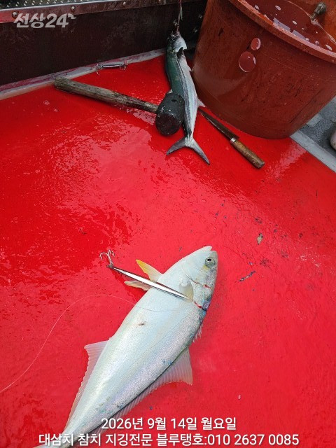 20260914_095150.jpg