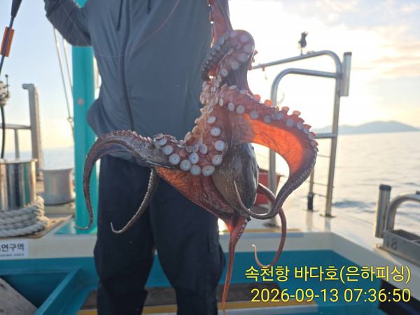 IMG_20260913_073650.jpg