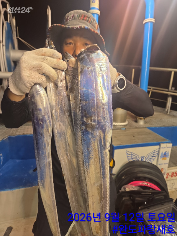 완도파랑새호(블루버드)_사진_20260912_9.jpg