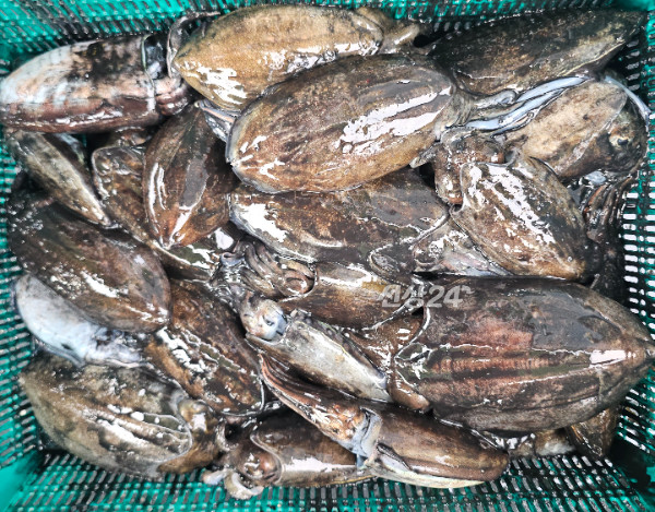 KakaoTalk_20260928_201331890_03.jpg