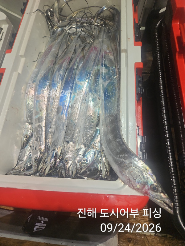 KakaoTalk_20260924_050456578_15.jpg