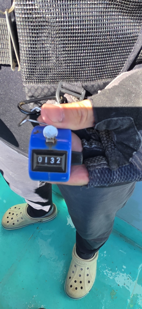 1788504446888.jpg
