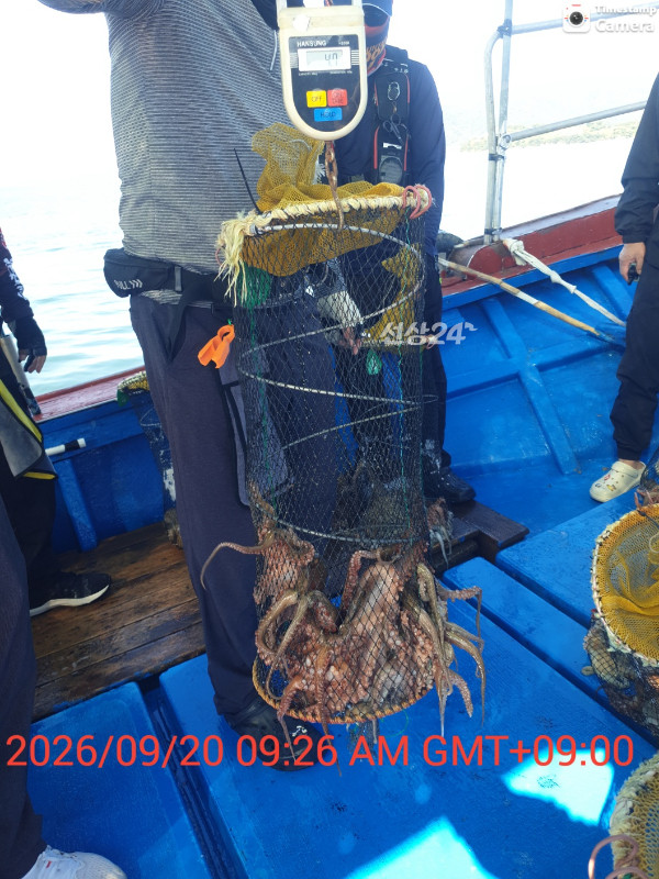 1789891580726.jpg