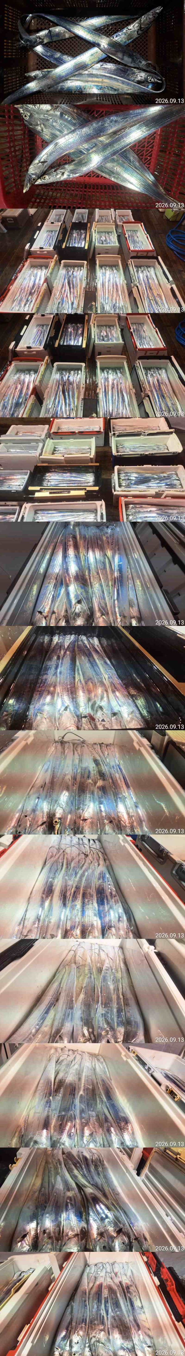 2222.jpg