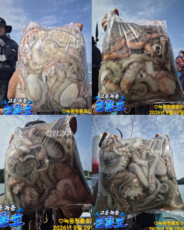 1000068388.jpg