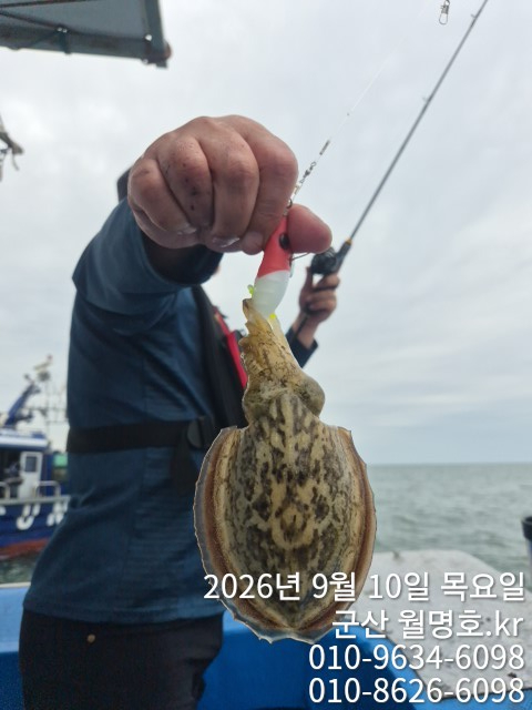 15019.jpg